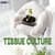 Tissue Culture: Definition, Types, Steps, Examples, Diagram, Techniques